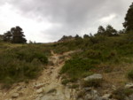 010720111306.jpg