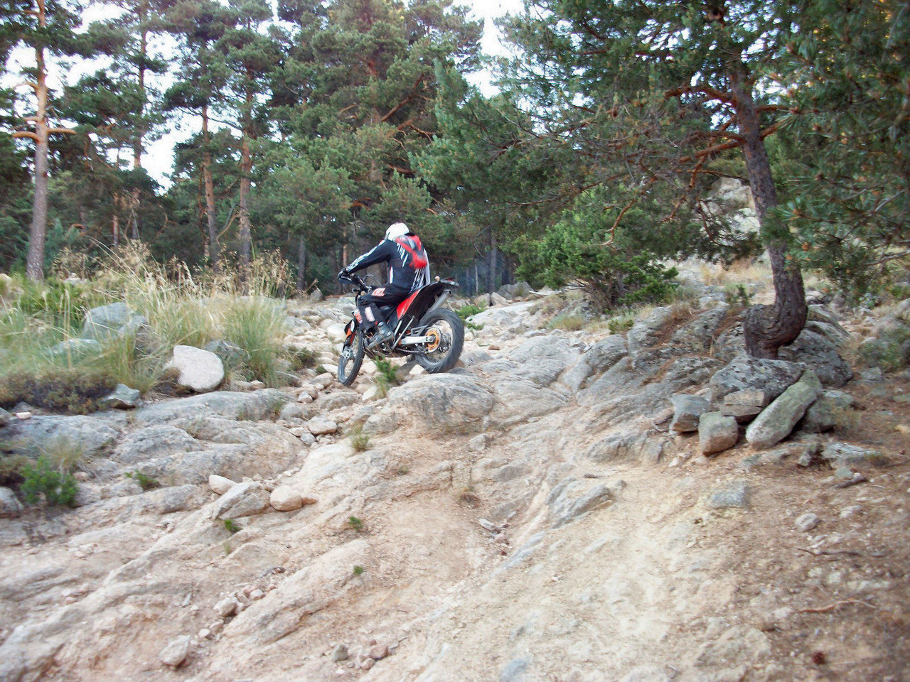 IMGP1199.JPG
