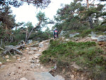 IMGP1221.JPG