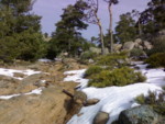 07012008097_G.jpg