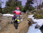 07012008099_G.jpg