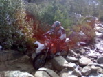 07012008100_G.jpg