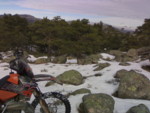 07012008104_G.jpg