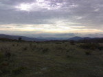07012008115_G.jpg