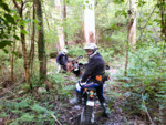 IMG_20130503_112954.jpg