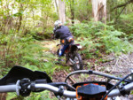 IMG_20130503_113231.jpg