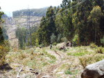 IMG_20130503_125901.jpg