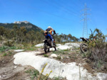 IMG_20130503_125917.jpg