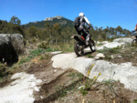 IMG_20130503_125941.jpg