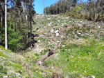 IMG_20130503_130915.jpg