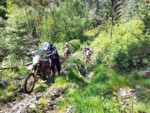 IMG_20130503_162716.jpg