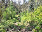 IMG_20130503_162932.jpg