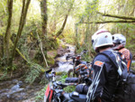 IMG_20130503_184052.jpg