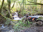 IMG_20130503_184449.jpg