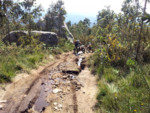 IMG_20130504_170423.jpg