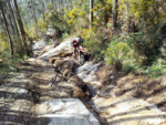 IMG_20130504_171114.jpg