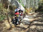 IMG_20130504_171157.jpg
