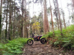 IMG_20130504_191146.jpg