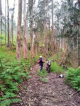 IMG_20130504_191218.jpg