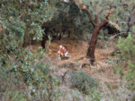 IMGP1654.JPG