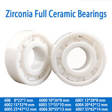 Rodamientos de bolas en miniatura de cerámica completa 608 - 6007 zrO2 zirconio blanco premium