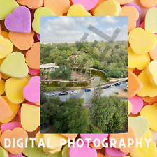 Fotografía digital del Parque Belvedere -BP770013