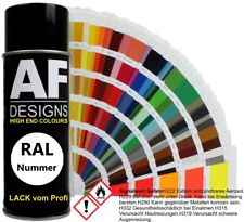 Spray RAL spray de pintura pintura pintura de coche lata de pulverización RAL laca colorida brillante alto brillo